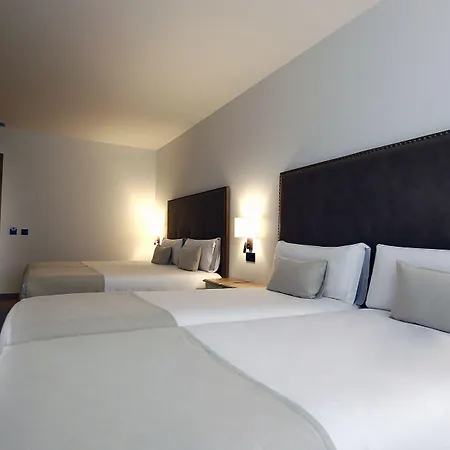 Vistalegre Hotel-spa 2*