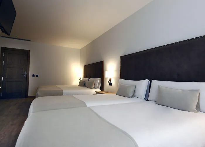 Vistalegre Hotel-spa 2*