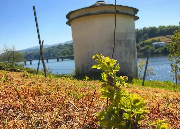 Vistalegre Hotel-spa 2*